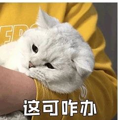 微信图片_20250616081852