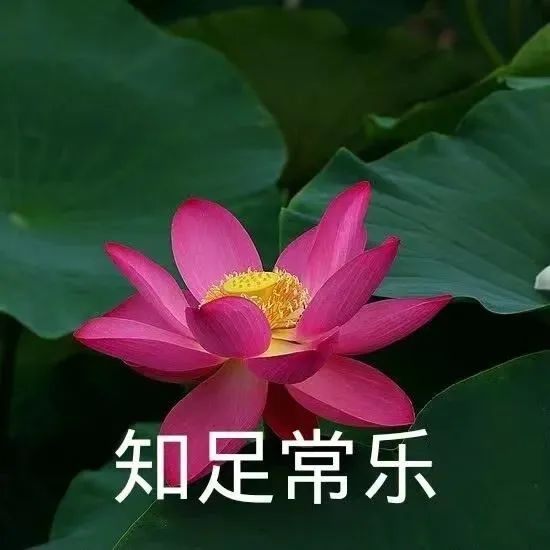 微信图片_20250721083843