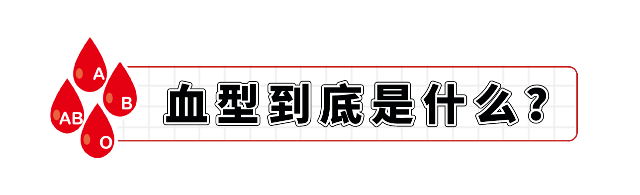 微信图片_20250728082755