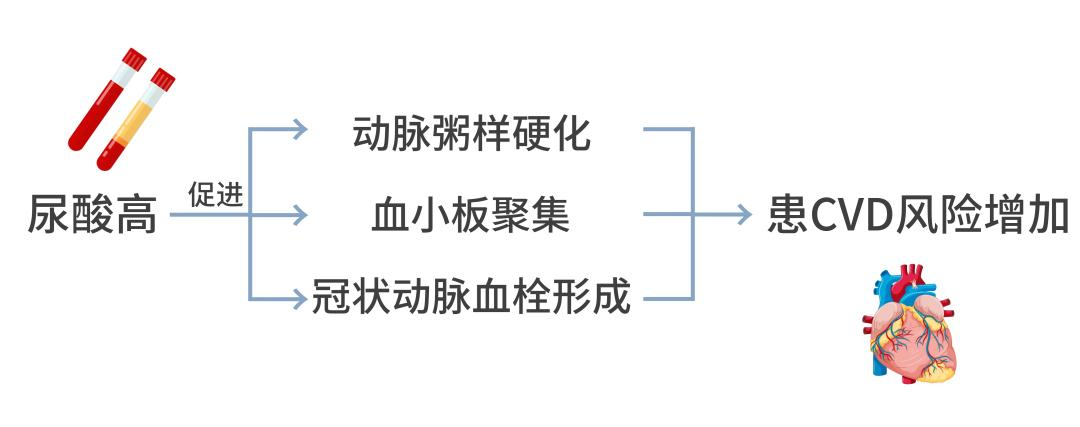 微信图片_2025-08-25_084859_306